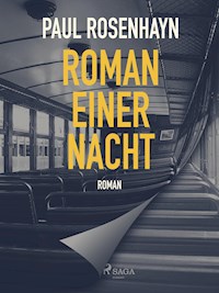 Roman einer Nacht - Paul Rosenhayn - E-Book