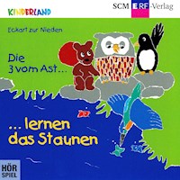 17: Die 3 vom Ast lernen das Staunen - Eckart zur Nieden - Hörbuch