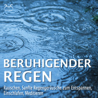 Beruhigender Regen - Rauschen, Sanfte Regengeräusche zum Entspannen, Einschlafen, Meditieren - Naturgeräusche pur, Regentropfen, Leichter Regen, Waldregen, Leichtes Gewitter, Sommerregen, Regen am Abend - Torsten Abrolat - Hörbuch