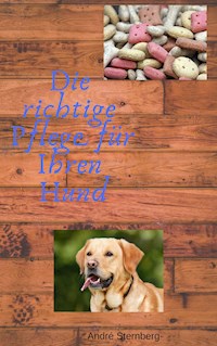 Die richtige Pflege für Ihren Hund - Andre Sternberg - E-Book