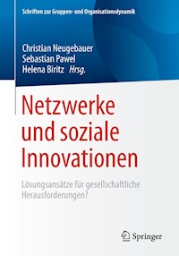 Netzwerke und soziale Innovationen -  - E-Book