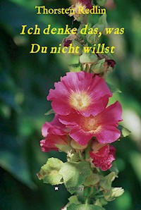 Ich denke das, was Du nicht willst - Thorsten Redlin - E-Book