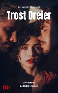 Trost Dreier - Bernadette Binkowski - E-Book