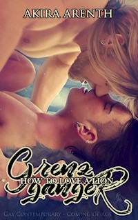 Grenzgänger - Band 3 - How to love a Lion - Akira Arenth - E-Book