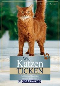Wie Katzen ticken - Marlitt Wendt - E-Book