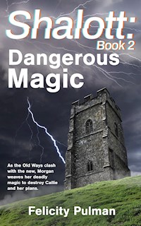 Shalott: Dangerous Magic - Felicity Pulman - E-Book