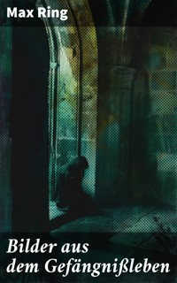 Bilder aus dem Gefängnißleben - Max Ring - E-Book