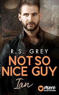 Not so nice Guy - R. S. Grey - E-Book