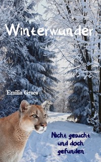 Winterwunder - Nicht gesucht und doch gefunden - Emilia Grace - E-Book