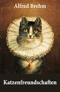 Katzenfreundschaften (4 wunderschöne Katzengeschichten vom Tiervater Alfred Brehm) - Alfred Brehm - E-Book