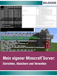 Wo&Wie: Mein eigener Minecraft Server - Andreas Zintzsch - E-Book