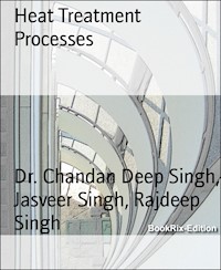 Heat Treatment Processes - Dr. Chandan Deep Singh - E-Book