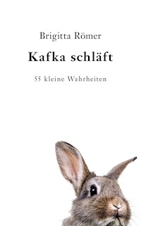 Kafka schläft - Brigitta Römer - E-Book