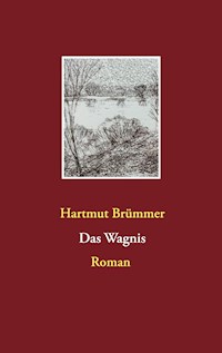 Das Wagnis - Hartmut Brümmer - E-Book