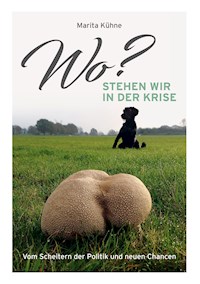 Wo? stehen wir in der Krise - Marita Kühne - E-Book