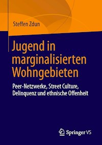 Jugend in marginalisierten Wohngebieten - Steffen Zdun - E-Book