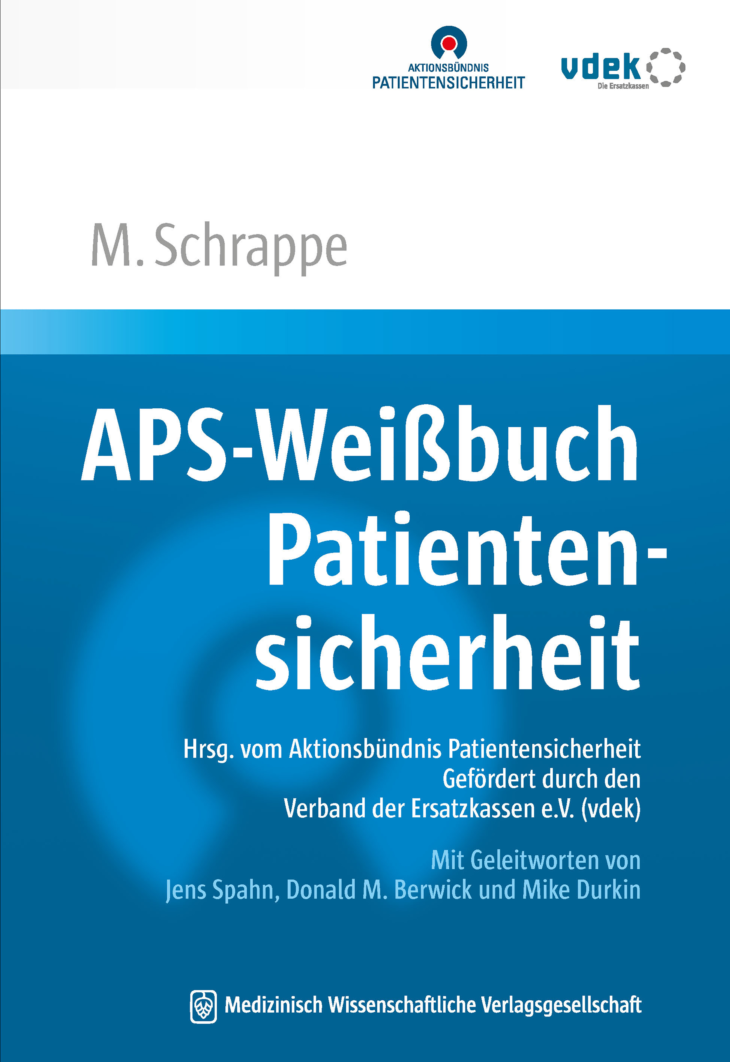 APS-Weißbuch Patientensicherheit - Matthias Schrappe - E-Book