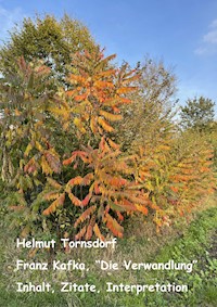 Franz Kafka, "Die Verwandlung" - Inhalt, Zitate, Interpretation - Helmut Tornsdorf - E-Book