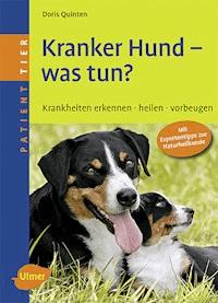 Kranker Hund - was tun? - Doris Quinten - E-Book