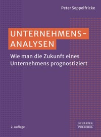 Unternehmensanalysen - Peter Seppelfricke - E-Book