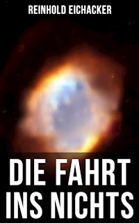 Die Fahrt ins Nichts - Reinhold Eichacker - E-Book