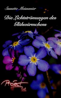 Die Lichtströmungen des Glühwürmchens - Sassette Meissonier - E-Book