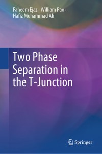 Two Phase Separation in the T-Junction - Faheem Ejaz - E-Book
