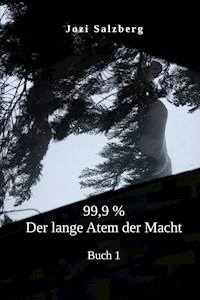 99,9 %. - Jozi Salzberg - E-Book