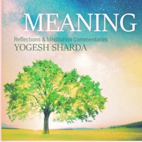 Meaning - Brahma Khumaris - Hörbuch