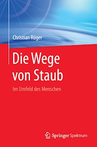 Die Wege von Staub - Christian Rüger - E-Book
