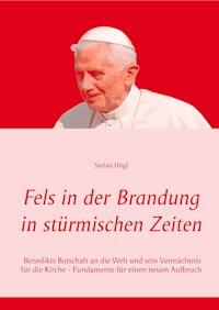 Fels in der Brandung in stürmischen Zeiten - Stefan Högl - E-Book
