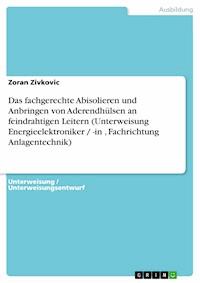 Das fachgerechte Abisolieren und Anbringen von Aderendhülsen an feindrahtigen Leitern (Unterweisung Energieelektroniker / -in , Fachrichtung Anlagentechnik) - Zoran Zivkovic - E-Book