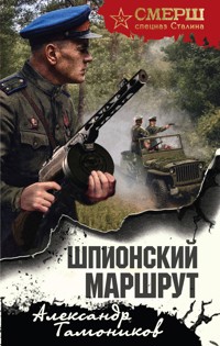 Шпионский маршрут - Тамоников Александр - E-Book