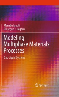 Modeling Multiphase Materials Processes - Manabu Iguchi - E-Book