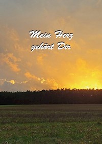 Mein Herz gehört dir - Christine Stutz - E-Book