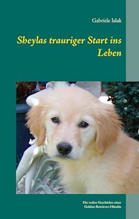 Sheylas trauriger Start ins Leben - Gabriele Islak - E-Book