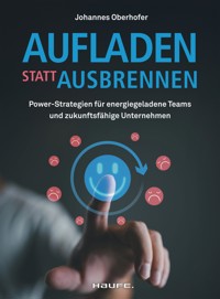 Aufladen statt ausbrennen - Johannes Oberhofer - E-Book