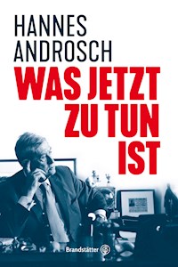 Was jetzt zu tun ist - Hannes Androsch - E-Book