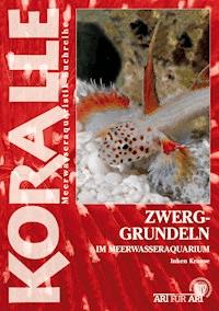 Zwerggrundeln im Meerwasseraquarium - Inken Krause - E-Book