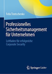 Professionelles Sicherheitsmanagement für Unternehmen - Felix Timtschenko - E-Book