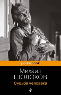 Судьба человека - Шолохов Михаил - E-Book