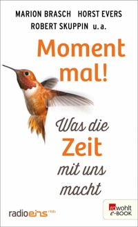 Moment mal! - Marion Brasch - E-Book