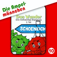 10: Das Wunder (Eine merkwürdige Begegnung, Teil 2) - Fritz Hellmann - Hörbuch