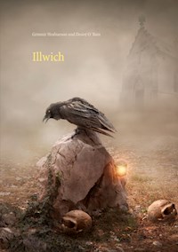 Illwich - Grimnir Hrafnarson - E-Book