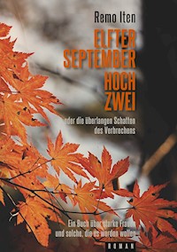 Elfter September hoch Zwei oder die überlangen Schatten des Verbrechens - Remo Iten - E-Book