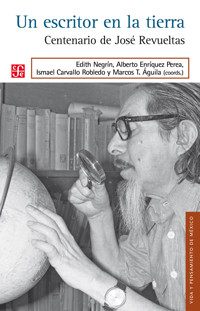 Un escritor en la tierra - Varios autores - E-Book