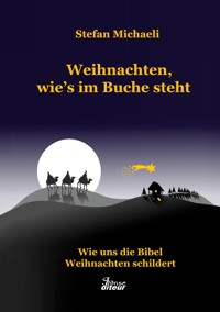 Weihnachten, wie's im Buche steht - Stefan Michaeli - E-Book
