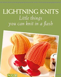Lightning Knits - Roswitha Sanchez-Ortega - E-Book