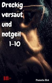 Dreckig, versaut und notgeil 1-10 - Pamela Hot - E-Book