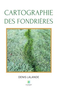 Cartographie des fondrières - Denis Lalande - E-Book